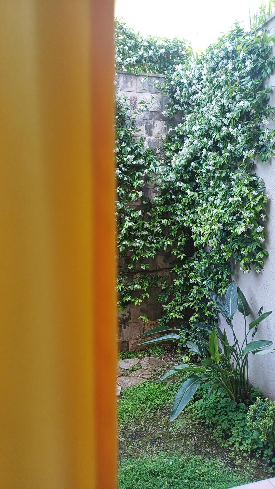 Apartman Stijepcic Χέρτσεγκ Νόβι Εξωτερικό φωτογραφία